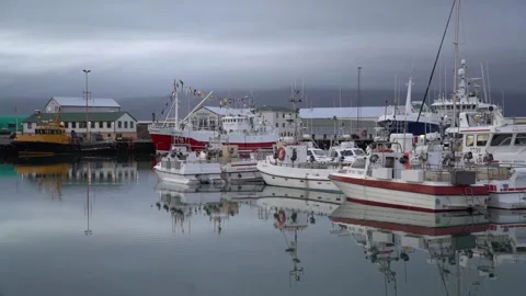 Boats Docked in Harbor Stock Footage 149276615