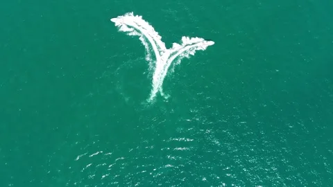Boats drawing hearts Stock Footage 303571291