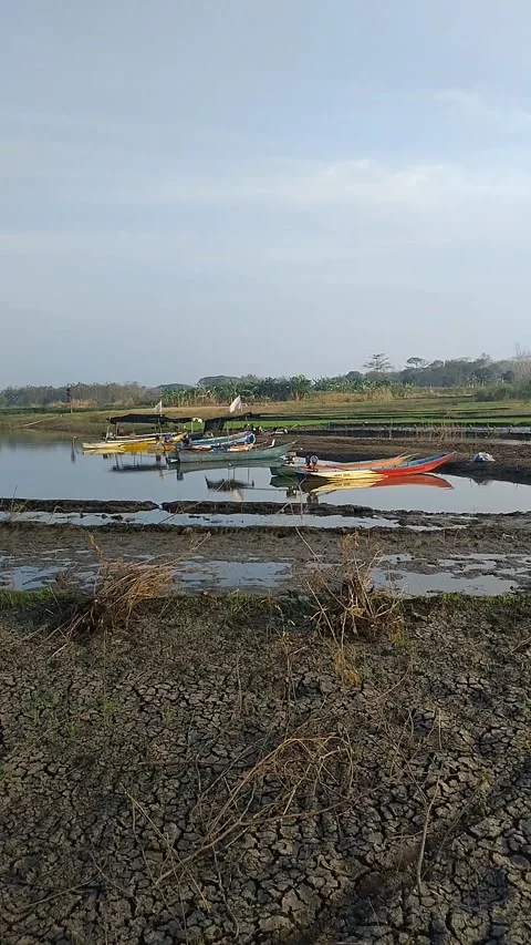 Boats on The Drying-up Reservoir Stock Footage 341456383