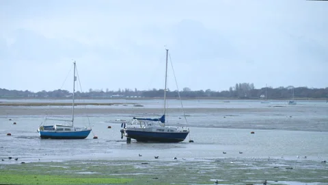Boats in Emsworth 動画素材 168243535