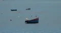 Boats at fishing village Camara de Lobos HD Footage