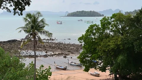 Boats float near palms at Klong Muang Beach Vidéo 336717510