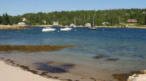 Boats floating in an ocean harbor Stock Footage 52946255