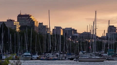 Boats floating at sunset time Video stock 49186779