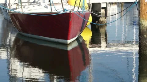 Boats in Florida 스톡 동영상 1906615