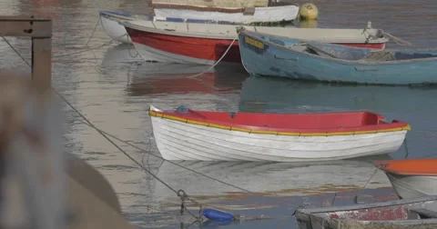 Boats in folkestone harbour Stock Footage 51756527