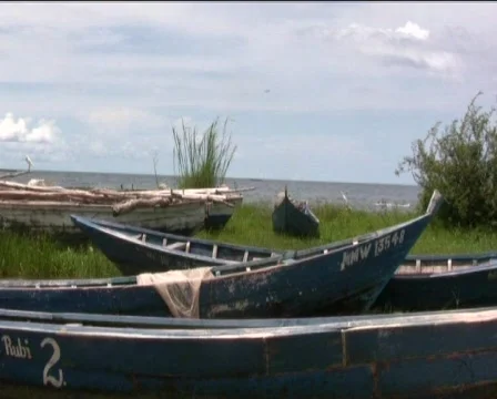 Boats Stock Footage 740542