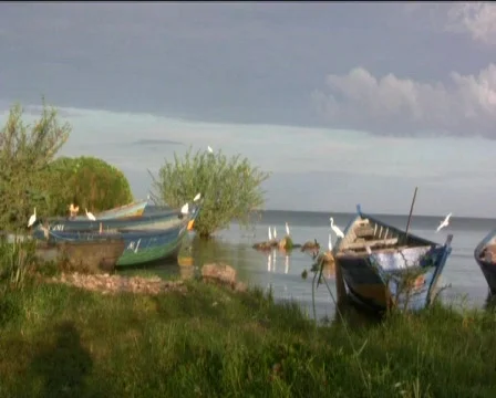 Boats Stock Footage 740583
