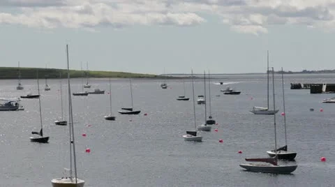 Boats Vidéo 11887234