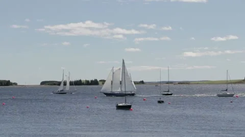 Boats Vidéo 11891033