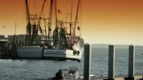 Boats Stock Footage 12402201