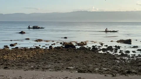 Boats Stock Footage 290198534