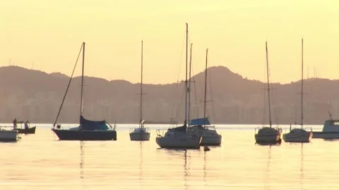 Boats Stock Footage 317256872