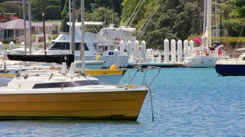 Boats on the habor Vídeo Stock 20477227