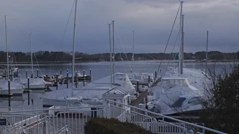 Boats in the harbor during winter Stock Footage 183381819