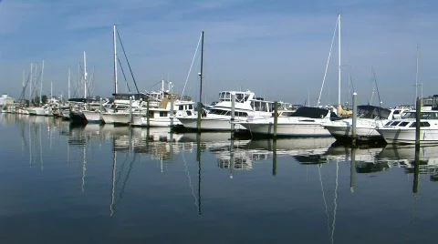 Boats in the harbor Stock Footage 377222