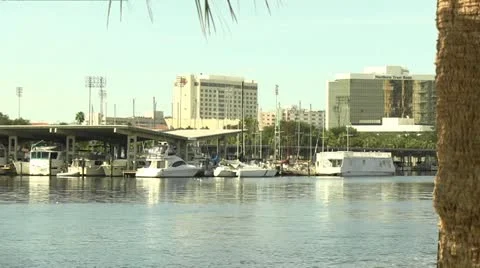 Boats in harbor Stock Footage 12307579