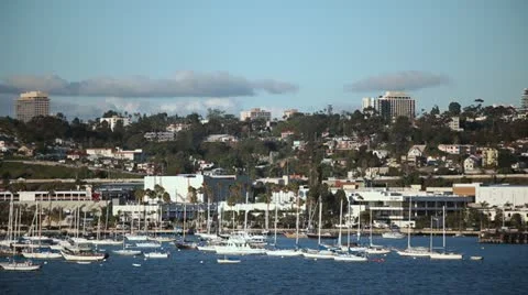 Boats in Harbor Stock Footage 20799876