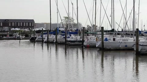 Boats in the Harbor Stock Footage 40028664