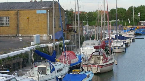 Boats in the harbor Stock Footage 53750873