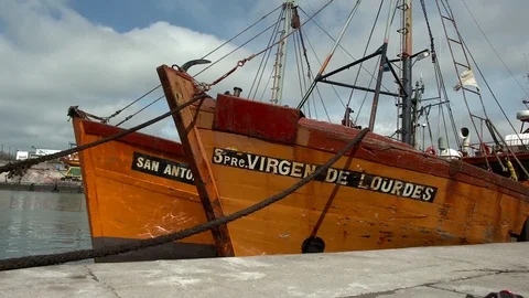 Boats in the harbor Stock Footage 81006845