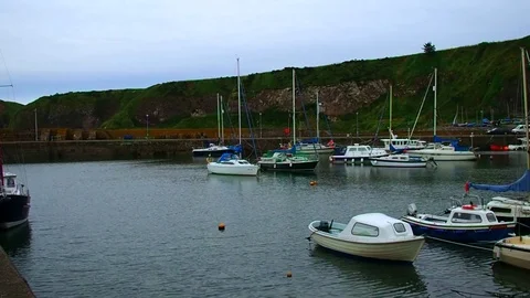 Boats in the harbor Stock Footage 82638842