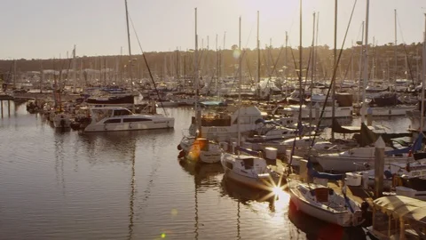 Boats in Harbor 库存影片 102688486