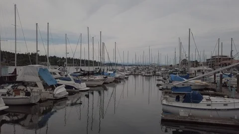Boats in the Harbor Stock Footage