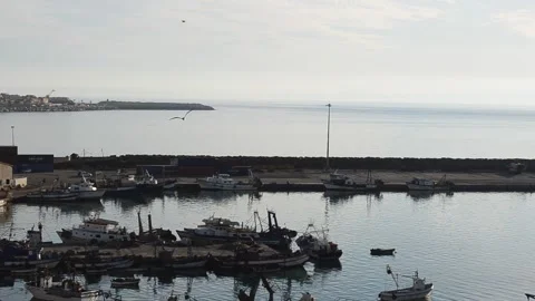 Boats in harbor Stock Footage 130879750