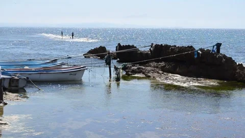 Boats in harbor Stock Footage 130880416