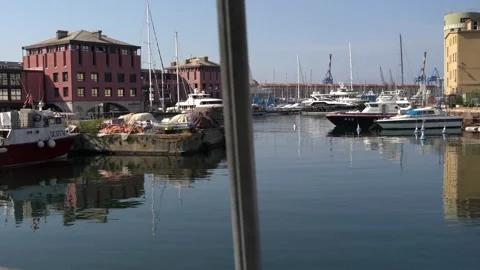 Boats in the harbor Video stock 138608246