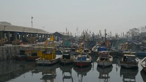 Boats at a harbor Stock Footage 204819109