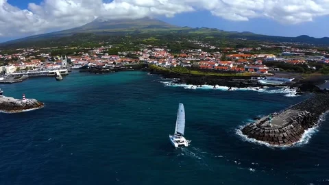 Boats in the harbor	 Video stock 252435447