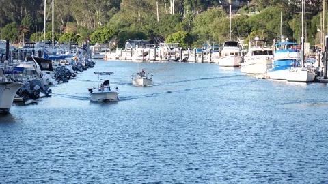 Boats in a harbor. Vídeos de archivo 313857804