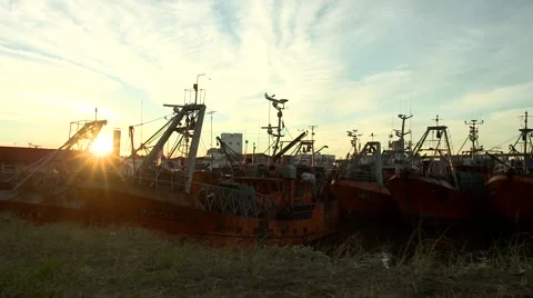 Boats in the harbor with sunset behind Video stock 64600797