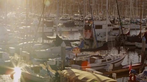 Boats in Harbor at Sunset Vídeo Stock 102688565