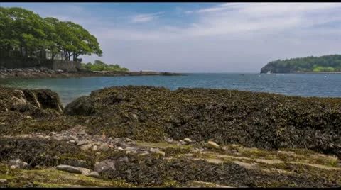 Boats Harbor Timelapse 스톡 동영상 10702867