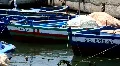Boats in harbour HD Footage