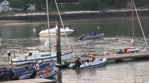 Boats in harbour Stock Footage 41857428