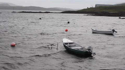 Boats in Harbour 動画素材 55367272