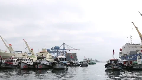 Boats in harbour Stock Footage 77048009