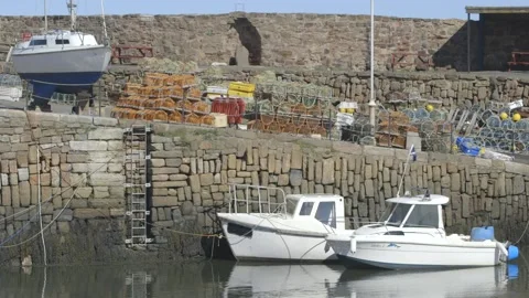 Boats in harbour Stock Footage 159475751