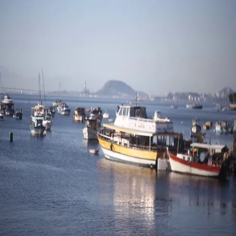 Boats in harbour in Rio de Janeiro Stock Footage 69334053