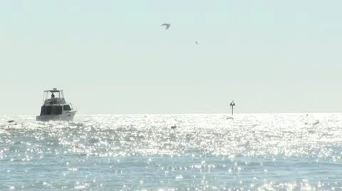 Boats into the horizon 스톡 동영상 12670562