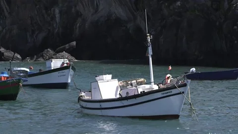 Boats, Madeira Stock Footage 142129719