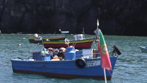 Boats in Madeira 스톡 동영상 142129767