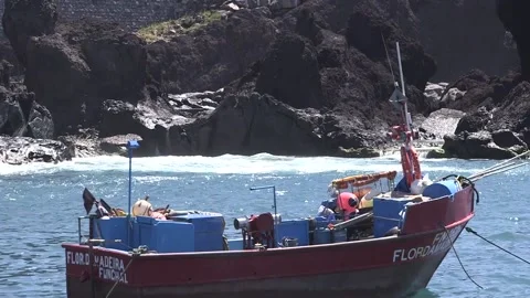 Boats in Madeira 스톡 동영상 142129769