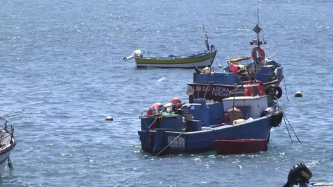 Boats in Madeira 스톡 동영상 142129788