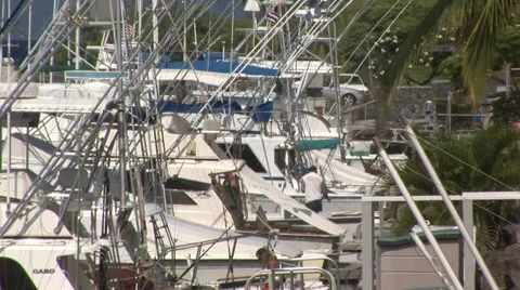 Boats in Marina Stock Footage 5239724