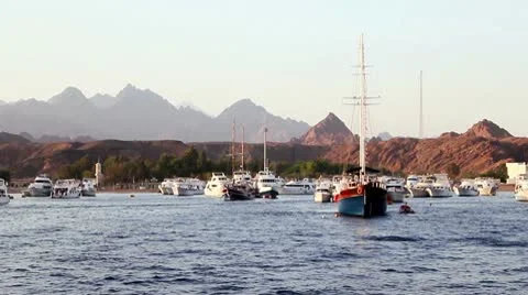 Boats in the marina Stock Footage 8997526